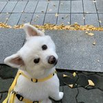 지나가는데 <b>의자</b> 빼놓고 안비켜주는거