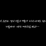 [드루와] 어느 한 아이돌의 생일 역조공