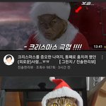 닮았지