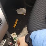 [유기견] 이 유기견 주인 찾습니다 대구 북구쪽입니다.