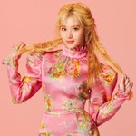 <b>사나</b> 너무 예쁘지 않냐..