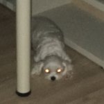 <b>액션</b>빔