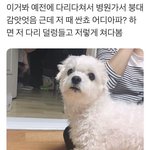 [댓글부탁해] 진짜 이런 <b>야들</b> 심리가 뭐야...?
