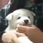 <b>쿠션</b> 추천해줘