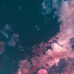 롤 타곤<b>산이</b> 뭐야?