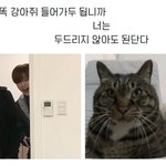 [강다니엘] 강다니엘 시리즈 새로운거