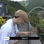 [강다니엘] 강다니엘 고먐미한테 <b>인사</b>하는거 너무 귀여워