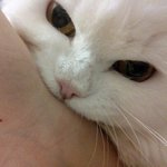 [댓글부탁해] 이것도 <b>애정</b>결핍에 해당됨?