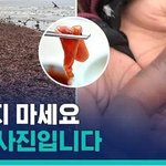 남자들아 변태끼 있는 여자 ㅇㄸ?