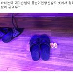 [추반] 헝거게임vs메이즈<b>러너</b> 추반좀