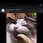 [댓글부탁해] <b>멍청이</b>