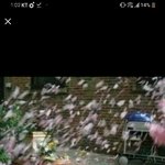 [댓글부탁해] <b>lover</b>