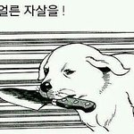 [댓글부탁해] 이거 그냥 <b>내성</b>적인거지?