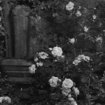 [제발알려줘] 나 정신적으로 문제 있는거야?