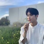 [댓글부탁해] <b>마니</b>또 내일 공개하는데 도와줘 ㅠㅠ