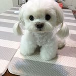 야 페북 스토리 뜨는 <b>순서</b> 기준이 뭐야?