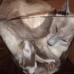 [드루와] (혐)얘들아 나 코팩한거 볼 <b>서람</b>