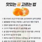 [19] <b>랜덤</b>채팅의 그녀 보는사람??