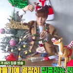 [강다니엘] 강다니엘표 <b>크리스마스</b>트리 만들기
