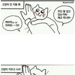 [모두드루와] 요즘 <b>집사</b>들 공감