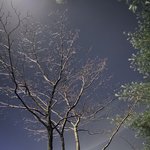 [드루와] 아이폰11 <b>화질</b> 좋당
