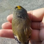 아 잠<b>온다</b>