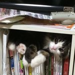 헐 여기로 <b>도피</b>생활 했었네