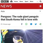 [댓글부탁해] 펭수 <b>BBC</b> 진출