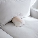 그대로 들튀하고픈 프렌치 <b>불독</b>