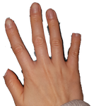 그럼 <b>이짝</b>은 어땨?