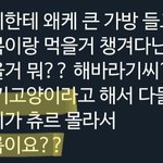 아기 고양이에 단체로 과몰입한 아이돌