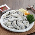 [모두드루와] 생굴 섭취후 노로<b>바이러스</b> 걸리는 이유