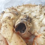 [도와주세요] 음식으로 장난치는 사람들 ..