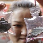 [모두드루와] 중국에서 1.5$에 팔리는 <b>열쇠</b>고리