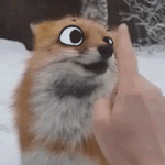 아미친 나 또<b>라인</b>가 아침이야 ㅇㅈㄹ