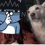 [모두드루와] 파양시킨 강아지 <b>견주</b>
