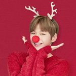 [강다니엘] 녜리<b>크리스마스</b>❤