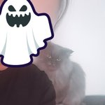 [고양이] <b>울</b><b>집</b> 냥이 사진 뿌린당 3탄 (셀카를 대하는 자세)