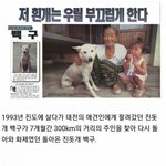 [댓글부탁해] 집에 돌아온 <b>백구</b>의 진실