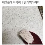 내 <b>생일</b>에 엄마가 옷 <b>사</b>준대