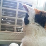 고<b>쓰리</b> 친구들 드루와봐