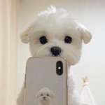 [댓글부탁해] 엄마 때문에 너무 스트레스야 어<b>카지</b>