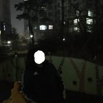 고양이 네마리한테 감시당하는 <b>중임</b>
