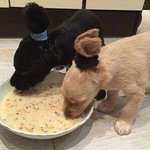 [댓글부탁해] 아이폰 배터리 교체할 수 있는거지?