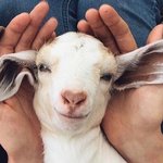 아니 이거 내잘못이냐?