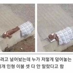 [모두드루와] 친절함이 부른 <b>참사</b>