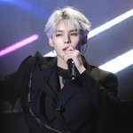 늑대와 고양이 오가는 아이돌