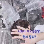 [댓글부탁해] 뷔 전자담배 <b>스탭</b>것일수도 있잖아