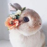 <b>난쟁이</b>뚱보 이쁘네