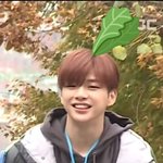 [강다니엘] 무엇일까요?